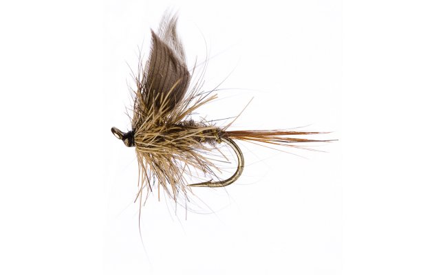 GRHE Upwing GRHE Upwing, Size 16