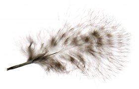 Grizzly Marabou Hends Grizzly Marabou Hends white-black striped