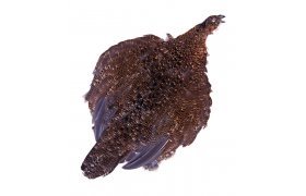 Grouse Veniard Complete Body Skin Grouse Veniard Complete Body Skin