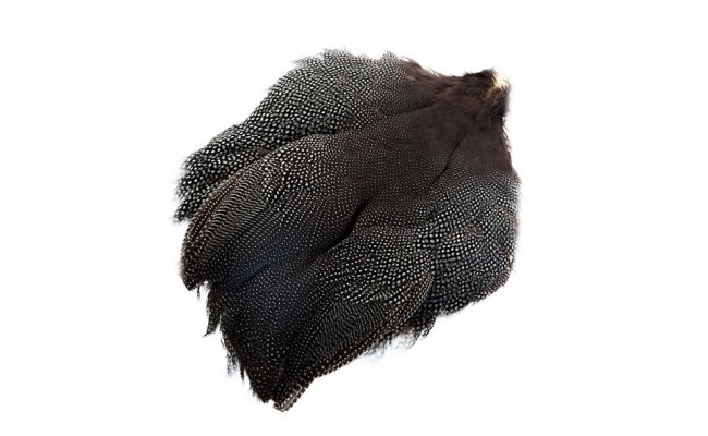 Guinea Fowl Veniard Skin Patch Guinea Fowl Veniard Skin Patch