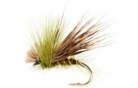 H/Ear & Green Drop Sedge H/Ear & Green Drop Sedge, Size 12