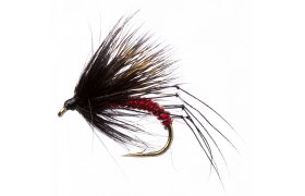 Half Hog Black & Red Half Hog Black & Red, Size 12