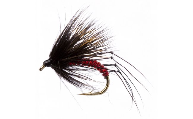 Half Hog Black & Red Half Hog Black & Red, Size 12