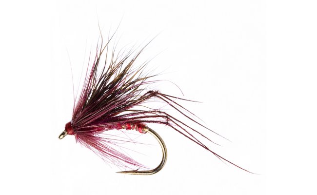 Half Hog Claret Half Hog Claret, Size 12