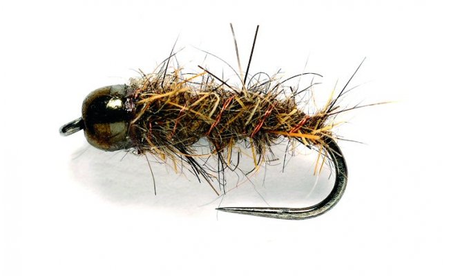 Hares Ear Black  Hares Ear Black, Size 14