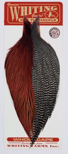 Whiting cock feather