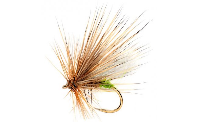 Hi-Float Sedge Hi-Float Sedge, Size 12