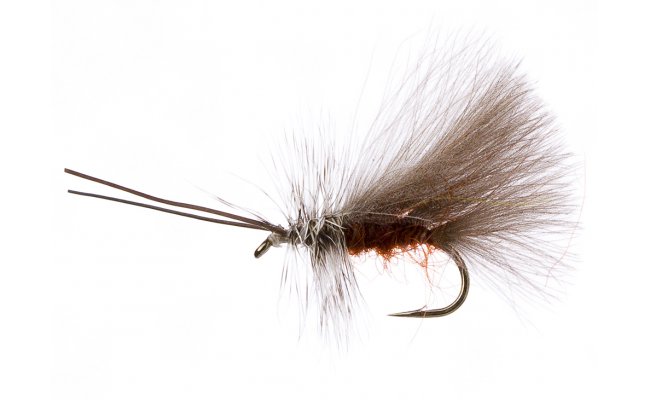 High Rider CDC Sedge Brown High Rider CDC Sedge Brown, Size 14