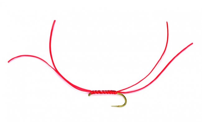 Holo App's Bloodworm B/L Holo App's Bloodworm B/L, Size 10