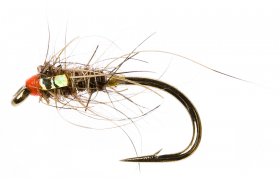 Holo Hare Gold Holo Hare Gold, Size 12