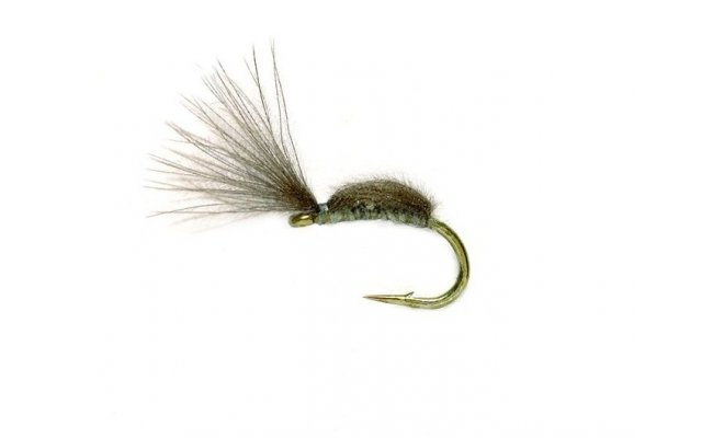 Hump Back Cul Hump Back Cul, Size 20