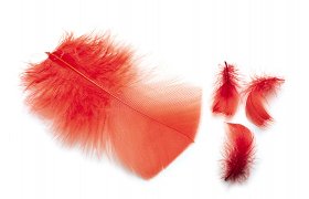 Ibis & Indian Crow Substitute Feathers Veniard Ibis & Indian Crow Substitute Feathers Veniard Ibis