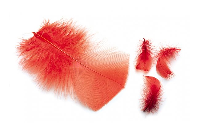 Ibis & Indian Crow Substitute Feathers Veniard Ibis & Indian Crow Substitute Feathers Veniard Ibis