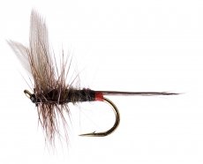 Iron Blue Dun Upwing Iron Blue Dun Upwing, Size 16