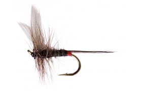 Iron Blue Dun Upwing Iron Blue Dun Upwing, Size 16