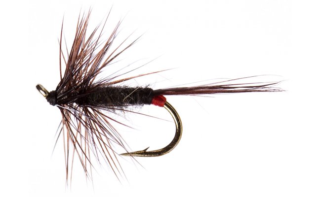 Iron Blue Dun Iron Blue Dun, Size 16