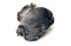 Jackdaw Veniard Whole Grey Scalp Jackdaw Veniard Whole Grey Scalp