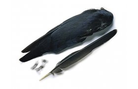 Jackdaw Veniard Whole Wings Jackdaw Veniard Whole Wings