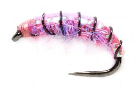 Jardine Pink Shrimp B/L Jardine Pink Shrimp B/L, Size 10