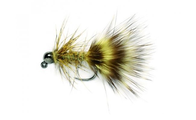 ace and jig olive shift
