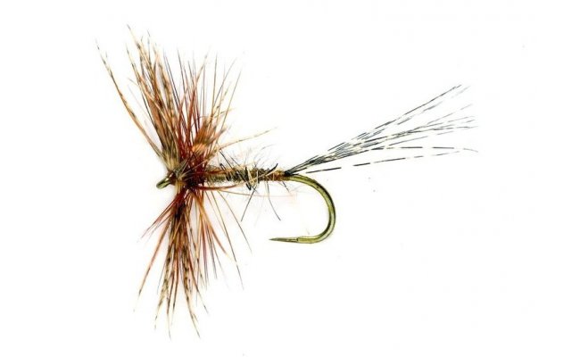 Jingler March Brown Jingler March Brown, Size 12