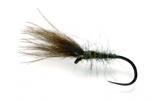 JL Mole Cul JL Mole Cul, Size 17