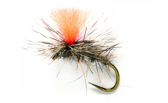 JL Oppo Parachute JL Oppo Parachute, Size 14