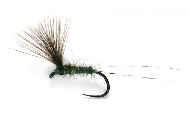 JL Upwing CDC JL Upwing CDC, Size 17