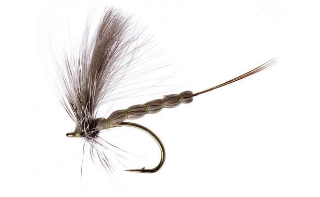 JT CDC Mayfly  JT CDC Mayfly, Size 10