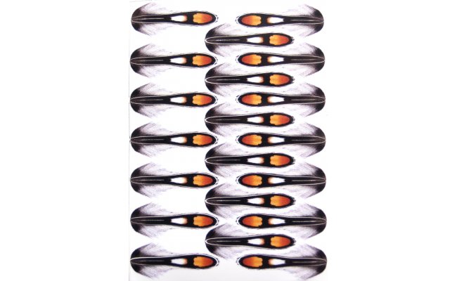 Jungle Cock Imitation Foil Jiri Klima Jungle Cock Imitation Foil Jiri Klima Natural 1, 1 cm, 150 pcs