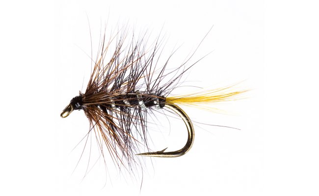 Kate McLaren Kate McLaren, Size 12