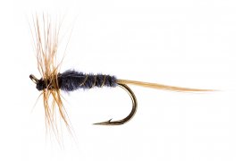 Kite's Imperial Kite's Imperial, Size 16