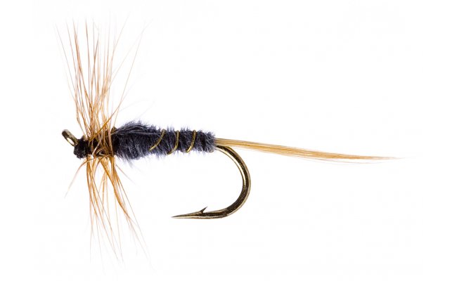 Kite's Imperial Kite's Imperial, Size 16