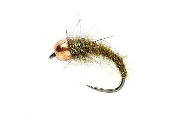 KJ Olive Grub TH KJ Olive Grub TH, Size 12
