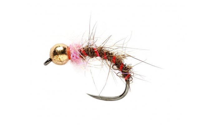 KJ Pink Collar HE KJ Pink Collar HE, Size 12