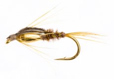 Klíma's weighted PT micronymph