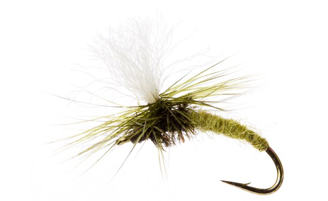 Klinkhamer Light Olive Klinkhamer Light Olive, Size 16