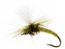Klinkhåmer Light Olive