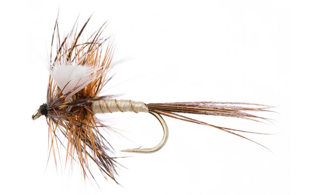 Lunns Spent Gnat Lunns Spent Gnat, Size 12