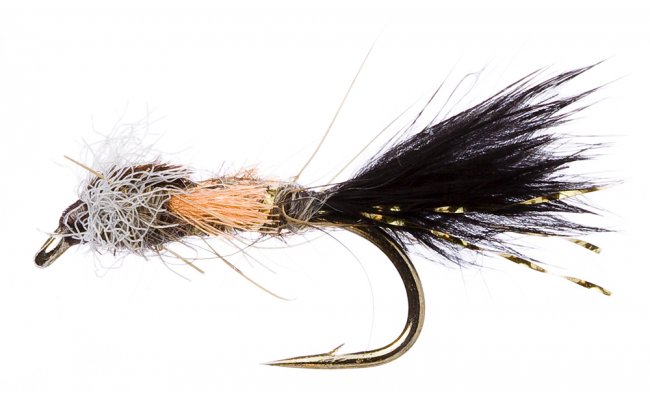 Mackay Mackay, Size 10