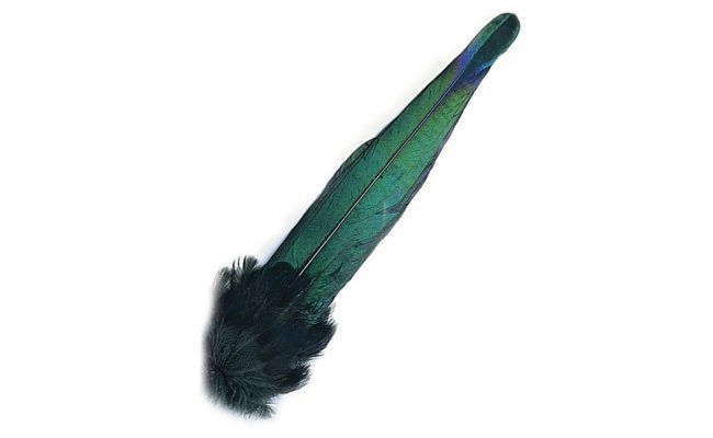 Magpie Veniard Complete Tail Magpie Veniard Complete Tail