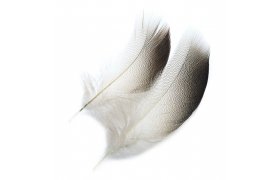 Mallard Duck Veniard Drake Bronze S ... Mallard Duck Veniard Drake Bronze Shoulders S