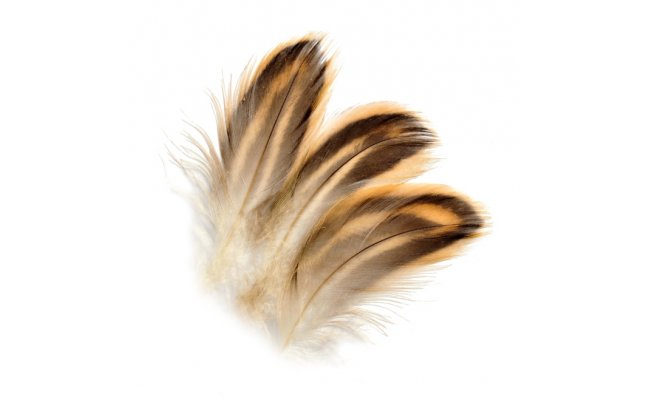 Mallard Duck Veniard Hen Flank Feathers Mallard Duck Veniard Hen Flank Feathers