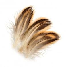 Mallard Duck Hen Flank Feathers Veniard