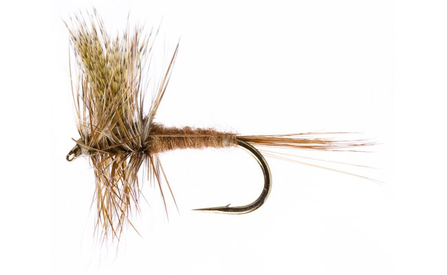 March Brown March Brown, Size 14