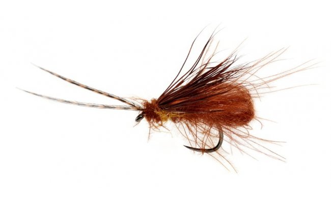 McPhail Bubble Wing Chocolate Drop Caddis B/L McPhail Bubble Wing Chocolate Drop Caddis B/L, Size 12