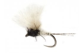 McPhail CDC Caenis B/L McPhail CDC Caenis B/L, Size 18