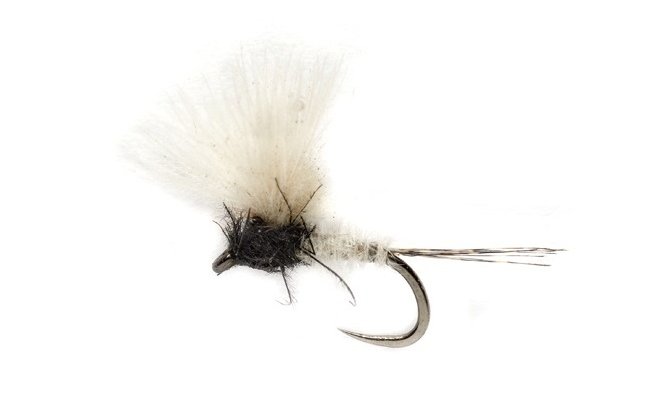 McPhail CDC Caenis B/L McPhail CDC Caenis B/L, Size 18