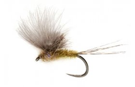 McPhail CDC Olive B/L McPhail CDC Olive B/L, Size 16