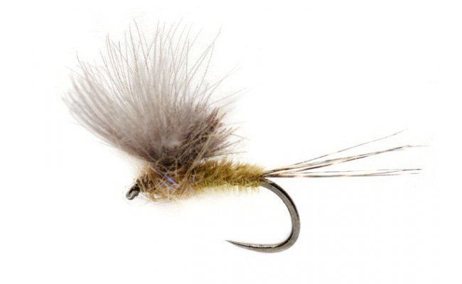 McPhail CDC Olive B/L McPhail CDC Olive B/L, Size 16